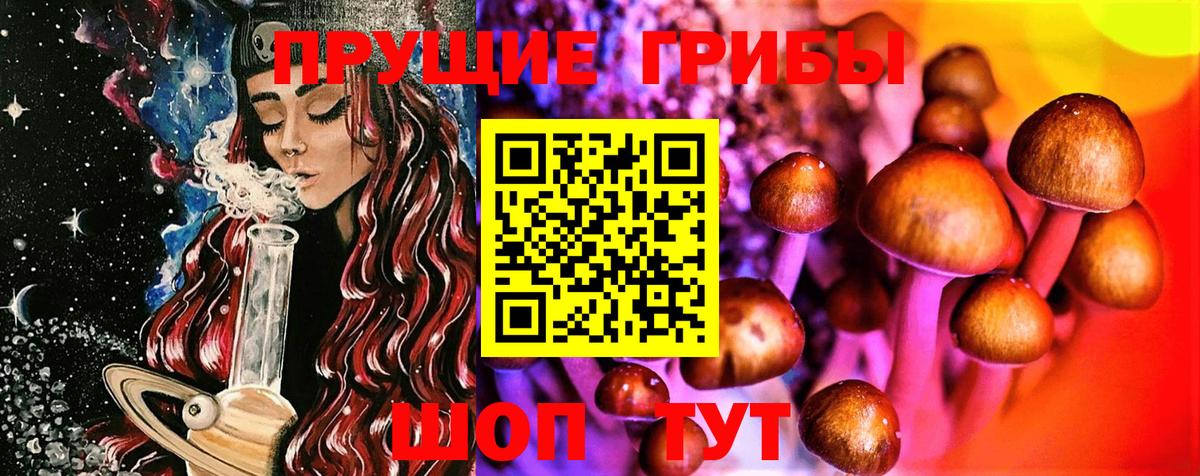 Новошахтинск  Галлюциногенные грибы прущие грибы  Галлюциногенные грибы мухоморы  Вход с VPN 