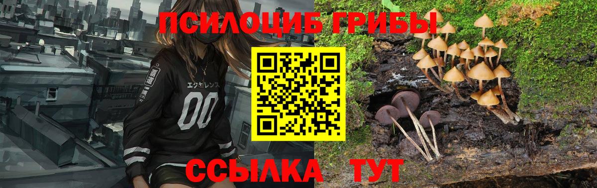 Галлюциногенные грибы мухоморы Новошахтинск